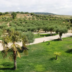 Отель Casal da Porta - Quinta da Porta Номер Делюкс разные типы кроватей фото 3