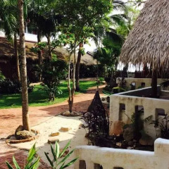 Отель Sunshine Beach Resort 3* Бунгало с различными типами кроватей фото 6
