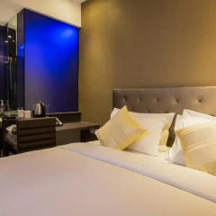 Arton Boutique Hotel 3* Номер Делюкс с различными типами кроватей фото 6