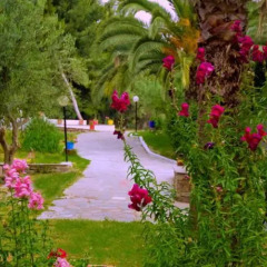 Отель Porfi Beach Hotel Греция, Ситония - 1 отзыв об отеле, цены и фото номеров - забронировать отель Porfi Beach Hotel онлайн парковка