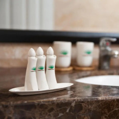 Serenity Villa Hotel 3* Номер Делюкс с двуспальной кроватью