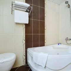 Hostapark Hotel 3* Люкс с различными типами кроватей фото 6