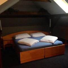 Hotel Zlaty Lev 4* Люкс фото 4