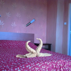 Отель Ioanna Guest House Боженци сауна