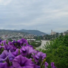 Hotel Rich 4* Полулюкс с различными типами кроватей фото 4