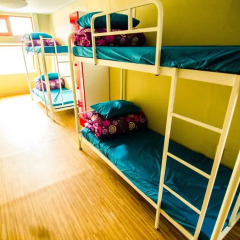Kimchee Sinchon Guesthouse - Hostel Кровать в женском общем номере с двухъярусной кроватью фото 2