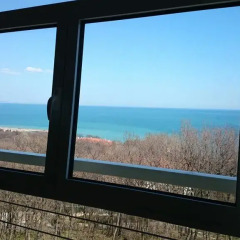 Апартаменты Apartment Debora Золотые пески комната для гостей фото 3