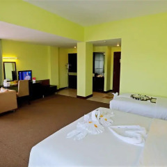 ParkView Hotel 4* Семейный полулюкс с двуспальной кроватью фото 5