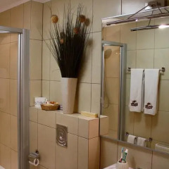 Гостиница Черепаха 3* Стандартный номер с разными типами кроватей фото 3
