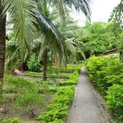 Отель Island Spa Resort