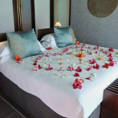 Отель InterContinental Bora Bora Resort and Thalasso Spa 5* Стандартный номер с различными типами кроватей фото 5