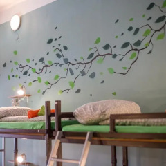 Island Hostel Adults only Кровать в общем номере фото 18