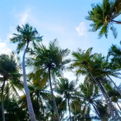 Отель Amvoj Maldives Thulusdhoo Остров Гасфинолу пляж