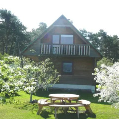 Отель Holiday House Niedras Jurmala интерьер отеля