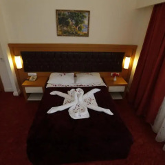 Forest Park Hotel 3* Стандартный номер с двуспальной кроватью фото 16