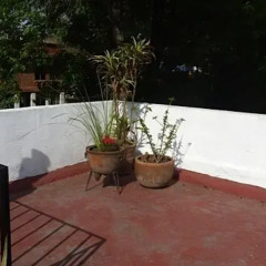 Апартаменты Sunflower Apartment near Coyoacan District Мехико