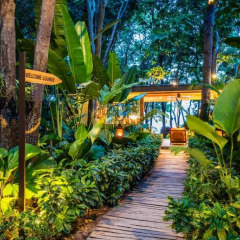 Floral Lux Hotel Monttra Pattaya Паттайя бассейн фото 2