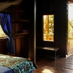 Отель Nature Lodge 2* Бунгало с различными типами кроватей фото 24