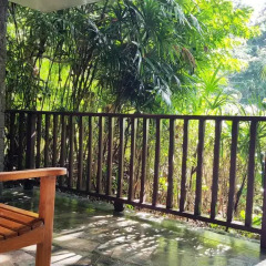 Отель Birds & Bees Resort 3* Номер Делюкс с различными типами кроватей фото 6