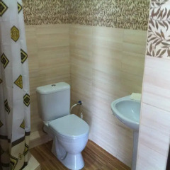 Гостиница Guest House Lesnik ванная