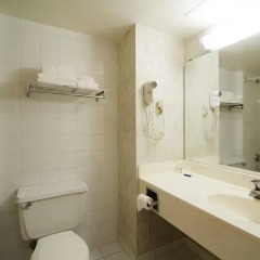 Отель Chestnut Residence and Conference Centre - University of Toronto ванная