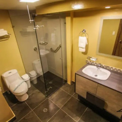 Barnard Hotel 3* Стандартный номер с различными типами кроватей фото 6
