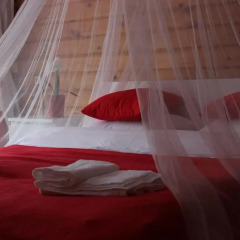 Crocus Art Hotel комната для гостей фото 3