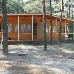 Гостиница Buymerivka Pine Spa-Resort Бунгало Делюкс фото 5