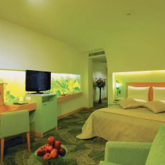Cornelia De Luxe Resort 5* Стандартный номер с различными типами кроватей фото 2