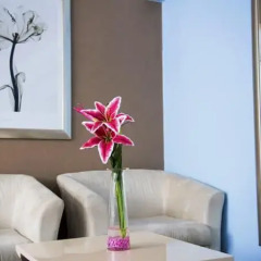 The New London Carlton Hotel 3* Полулюкс с различными типами кроватей фото 4