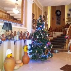 David Hotel интерьер отеля