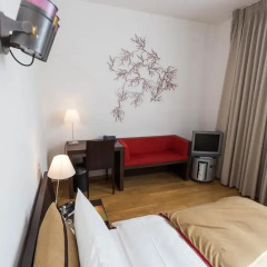 Отель PLATTENHOF 3* Стандартный номер фото 4