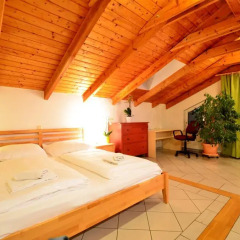 Отель AJO Terrace Австрия, Вена - отзывы, цены и фото номеров - забронировать отель AJO Terrace онлайн комната для гостей