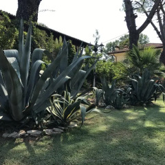 Отель Casa Algisa Италия, Монтегротто-Терме - отзывы, цены и фото номеров - забронировать отель Casa Algisa онлайн спортивное сооружение