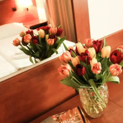 Отель Abitohotel 3* Студия с различными типами кроватей фото 6