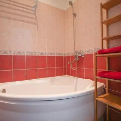 Апартаменты Riga City Center Apartments Апартаменты с различными типами кроватей фото 16