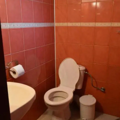 Отель Zlatniyat Telets Guest Rooms 2* Стандартный номер с различными типами кроватей фото 8