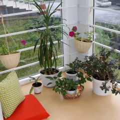 Гостиница Hostel Kashemir в Перми отзывы, цены и фото номеров - забронировать гостиницу Hostel Kashemir онлайн Пермь