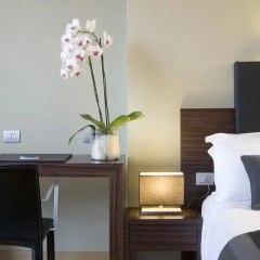 Trevi Collection Hotel 4* Стандартный номер с различными типами кроватей фото 8