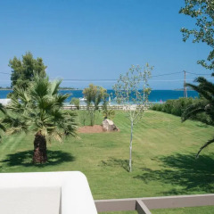 Отель Tiamo Secrets - Palm Garden фото 4