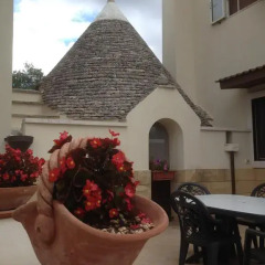Отель B&B Delle Rondini Альберобелло фото 9