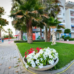 Апартаменты Apartments Ardo Студия фото 2