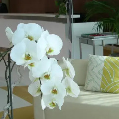 Отель Pestana Promenade Ocean Resort Hotel Португалия, Фуншал - 1 отзыв об отеле, цены и фото номеров - забронировать отель Pestana Promenade Ocean Resort Hotel онлайн удобства в номере
