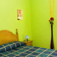 Отель Apartamentos Dana Madrid сауна
