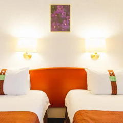 Гостиница Холидей Инн Москва Виноградово (Holiday Inn Moscow Vinogradovo) 4* Стандартный номер с разными типами кроватей фото 5