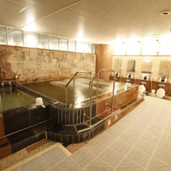 Asakusa Central Hotel 3* Стандартный номер с различными типами кроватей фото 17