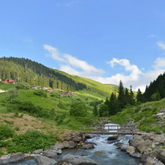 Inan Kardesler Bungalow Motel Турция, Узунгёль - 3 отзыва об отеле, цены и фото номеров - забронировать отель Inan Kardesler Bungalow Motel онлайн фото 10