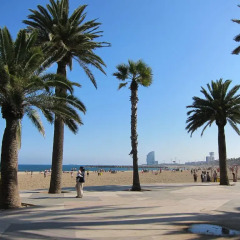 Отель Barceloneta Studios 3* Студия фото 4