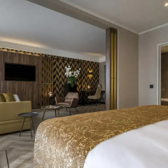 Plaza Hotel 4* Номер Делюкс фото 2