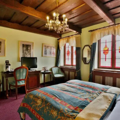Hotel U Páva 4* Стандартный номер с различными типами кроватей фото 5